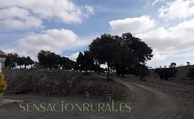 Cortijo la Encina en Oria (Almería) - Foto 16