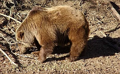 Casa Rural Rincón de Bachatos en Piedrafita de Jaca (Huesca) - Foto 24