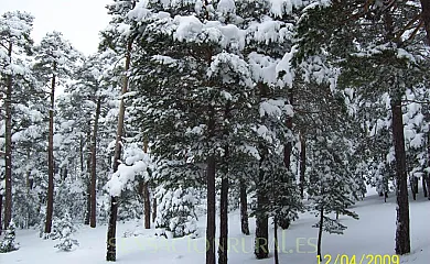 CASA RURAL LAS TINAJAS en Alcalá de la Selva (Teruel) - Foto 13