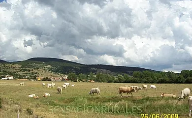 CASA RURAL LAS TINAJAS en Alcalá de la Selva (Teruel) - Foto 14