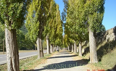 CASA RURAL LAS TINAJAS en Alcalá de la Selva (Teruel) - Foto 16