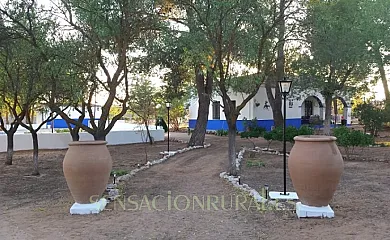 El Descanso de Sancho en El Toboso (Toledo) - Foto 2