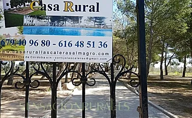 Apartamentos Rurales Las Caleras en Almagro (Ciudad Real) - Foto 16