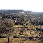 Valle los Ciervos 001