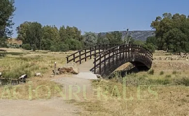 Los granaos en Las Casas Del Rio (Ciudad Real) - Foto 19