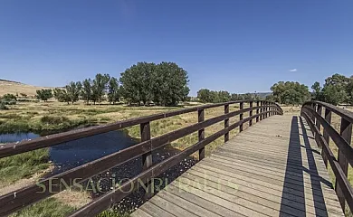 Los granaos en Las Casas Del Rio (Ciudad Real) - Foto 20