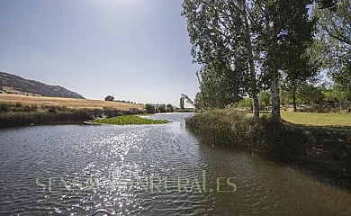 Los granaos en Las Casas Del Rio (Ciudad Real) - Foto 23