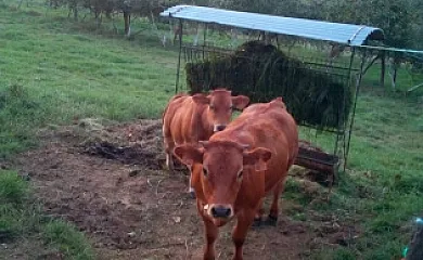 Casa Maximino en Llames de Parres (Asturias) - Foto 18