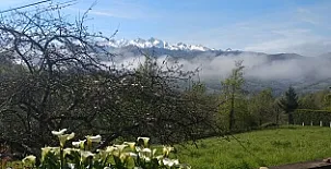 Apartamentos Braña 0012