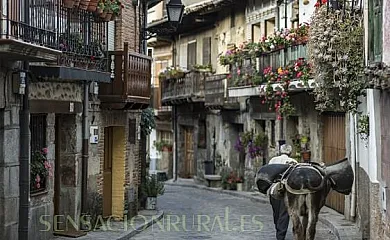 Hotel Rural Abejaruco en Cuevas Del Valle (Ávila) - Foto 12