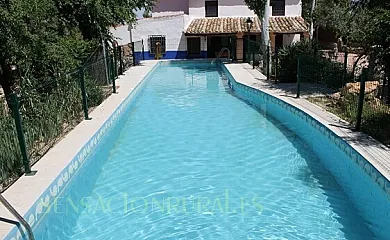 La Ínsula Barataria en El Toboso (Toledo) - Foto 2