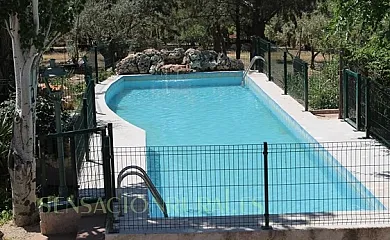 La Ínsula Barataria en El Toboso (Toledo) - Foto 20