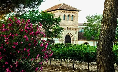Caserío de los Palacios en Orgaz (Toledo) - Foto 2