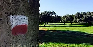 Vivienda Rural El Ejido 0024
