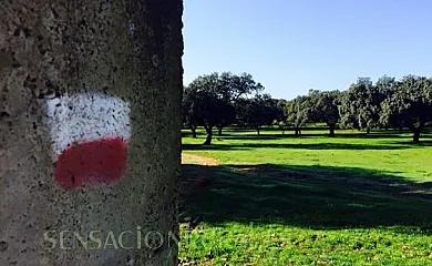 Vivienda Rural El Ejido en El Real de la Jara (Sevilla) - Foto 24
