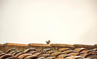 Casa Jarreta Centro en Albarracín (Teruel) - Foto 6