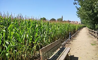 La Neneta en Montgai (Lleida) - Foto 19