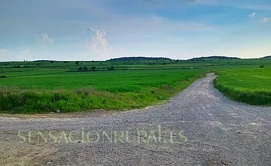 La Neneta en Montgai (Lleida) - Foto 20