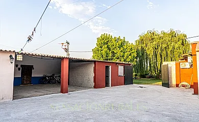 Sauce Mágico en Porzuna (Ciudad Real) - Foto 6