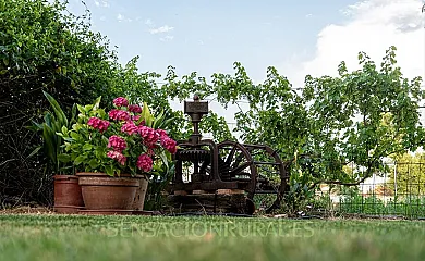 Sauce Mágico en Porzuna (Ciudad Real) - Foto 7