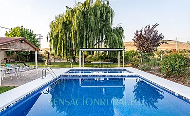 Sauce Mágico en Porzuna (Ciudad Real) - Foto 11