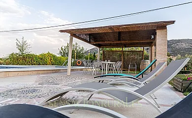 Sauce Mágico en Porzuna (Ciudad Real) - Foto 14