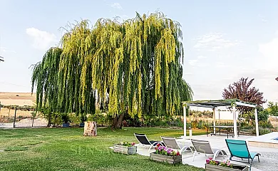 Sauce Mágico en Porzuna (Ciudad Real) - Foto 18