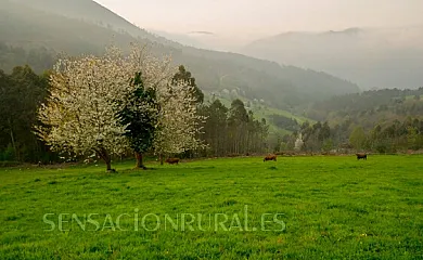 El Dolmen en Villayón (Asturias) - Foto 4