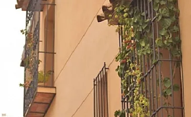 El Cantó en Campell (Alicante) - Foto 16