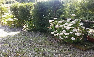 AT La Casa de San Andres en Arriondas (Asturias) - Foto 11