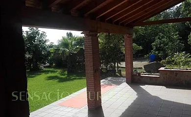 Higueras y Olivos en Candeleda (Ávila) - Foto 3