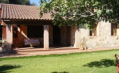 Higueras y Olivos en Candeleda (Ávila) - Foto 4