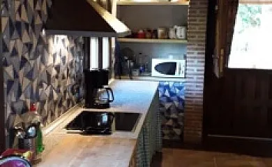 Higueras y Olivos en Candeleda (Ávila) - Foto 8