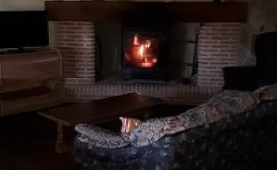 Higueras y Olivos en Candeleda (Ávila) - Foto 12