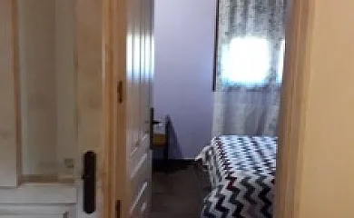 Higueras y Olivos en Candeleda (Ávila) - Foto 13