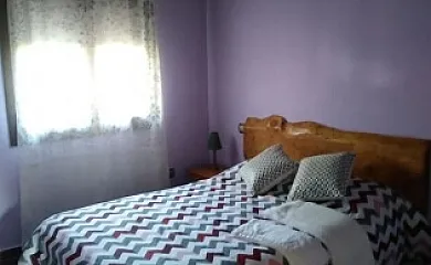 Higueras y Olivos en Candeleda (Ávila) - Foto 14