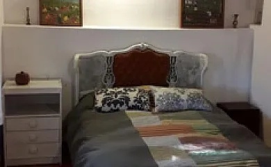 Higueras y Olivos en Candeleda (Ávila) - Foto 15