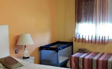 Higueras y Olivos en Candeleda (Ávila) - Foto 16