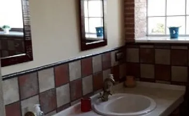 Higueras y Olivos en Candeleda (Ávila) - Foto 18