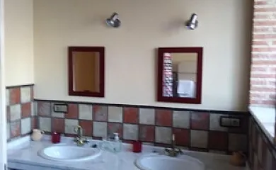 Higueras y Olivos en Candeleda (Ávila) - Foto 19