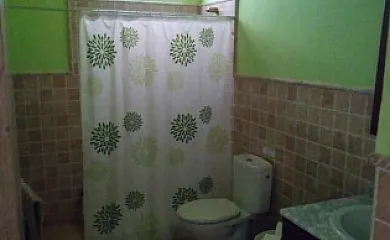 Higueras y Olivos en Candeleda (Ávila) - Foto 20