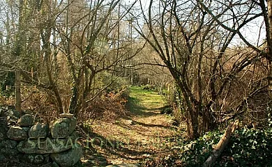 El Molino en Mombeltran (Ávila) - Foto 15