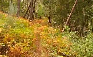 El Molino en Mombeltran (Ávila) - Foto 17