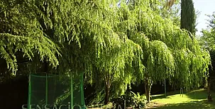 La Llevanza Apartamentos Rurales 0012