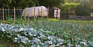 La Llevanza Apartamentos Rurales 0014