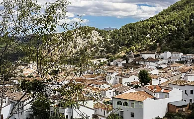 Los Siete Pinos en Grazalema (Cádiz) - Foto 1