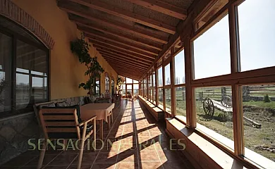 Fuente Alberche en San Martín de la Vega del Alberche (Ávila) - Foto 8