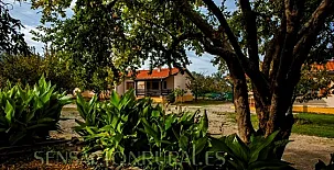 Complejo Rural Fuente Del Aliso 004