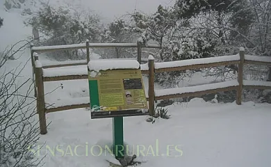 Casa Rural Entreparques en El Bosque (Cádiz) - Foto 20