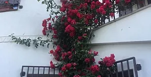 Casa Rural Al Alba 002